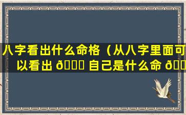 八字看出什么命格（从八字里面可以看出 🍁 自己是什么命 🐡 ）